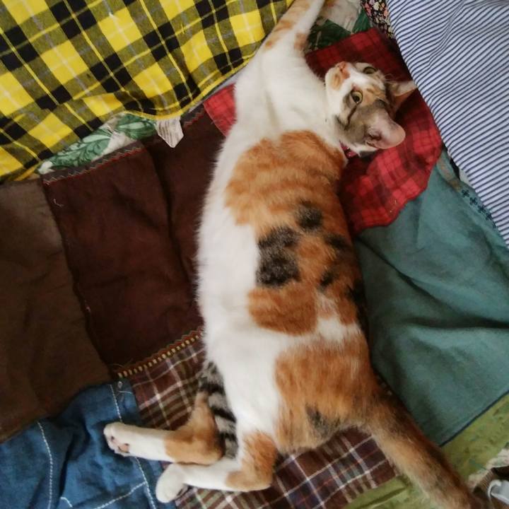 9d91f31d 6b8a 4d7c a303 6e86e0f8de98