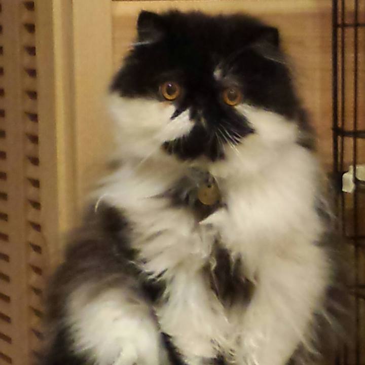 9d923204 03b0 4d30 afad 4d2bb8256b80