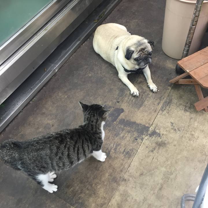 9d9250e2 3cbf 419f 896a b89059156584