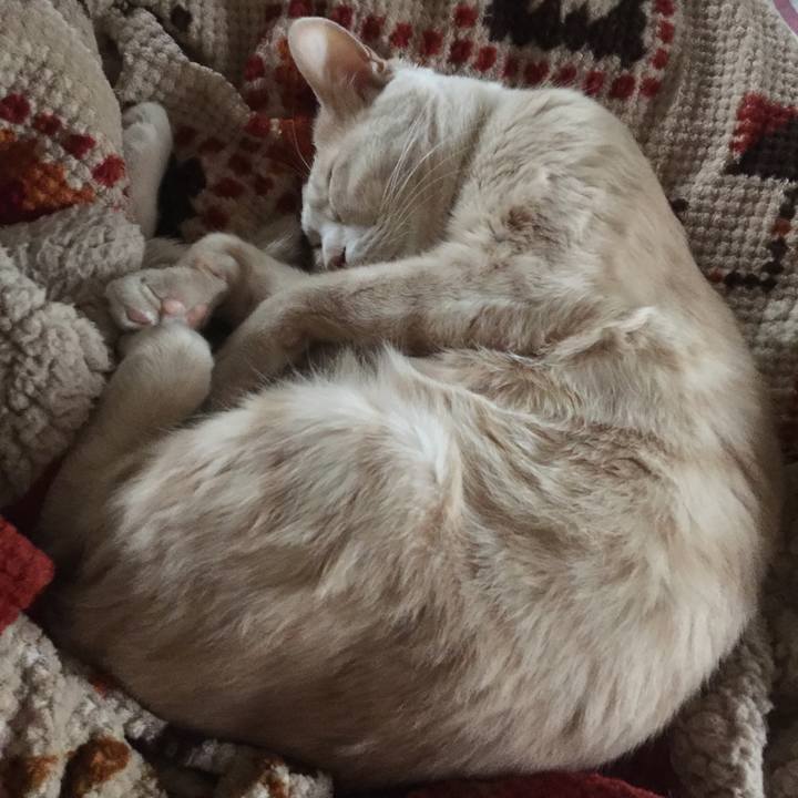 9d92d46c bdd1 42a2 a4f4 ad315eb4bbd1