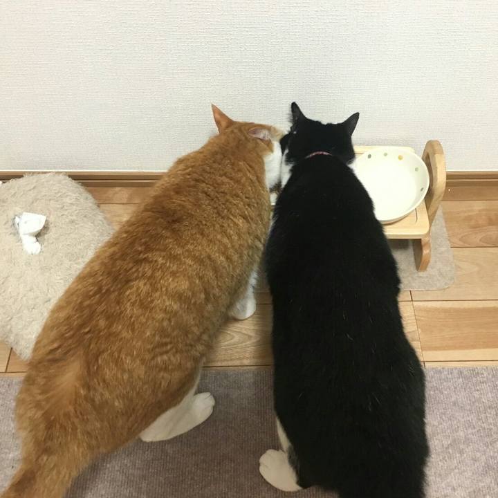 9d92f2f6 fa41 4305 897d 066a20b0eae8