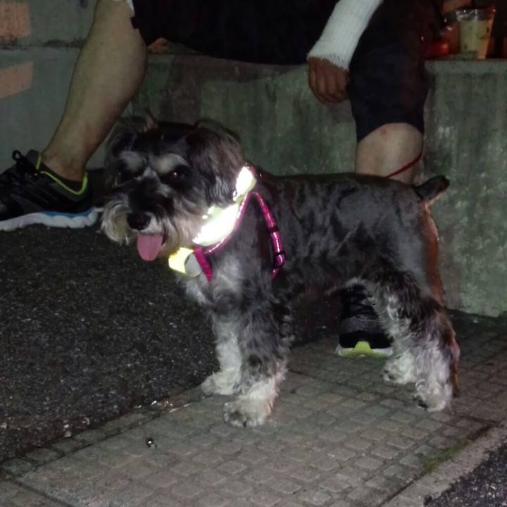 9d93145b ed7a 4fcb b7dc 2379fde46bb6