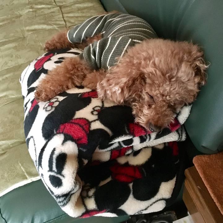 9d936099 905f 4600 9d1a 72a52cf2ea93