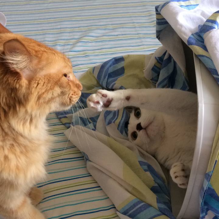 9d936e21 7524 49b6 85d3 37a3101ba7aa