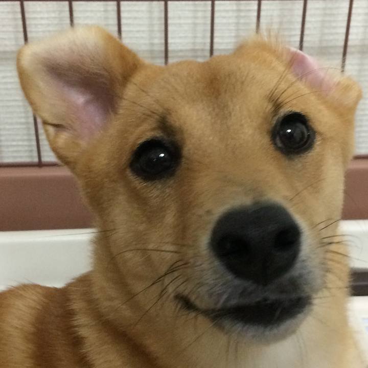 9d946c11 70cd 426d 9b2a 6d6d89092f02