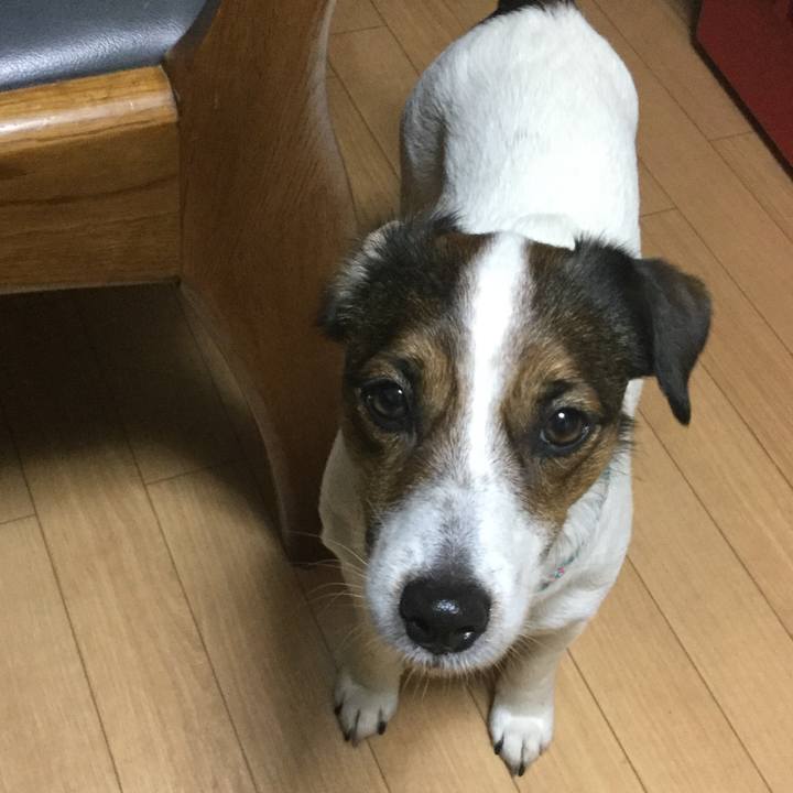 9d947f9e 701e 483a 9dce e9e02e820b81