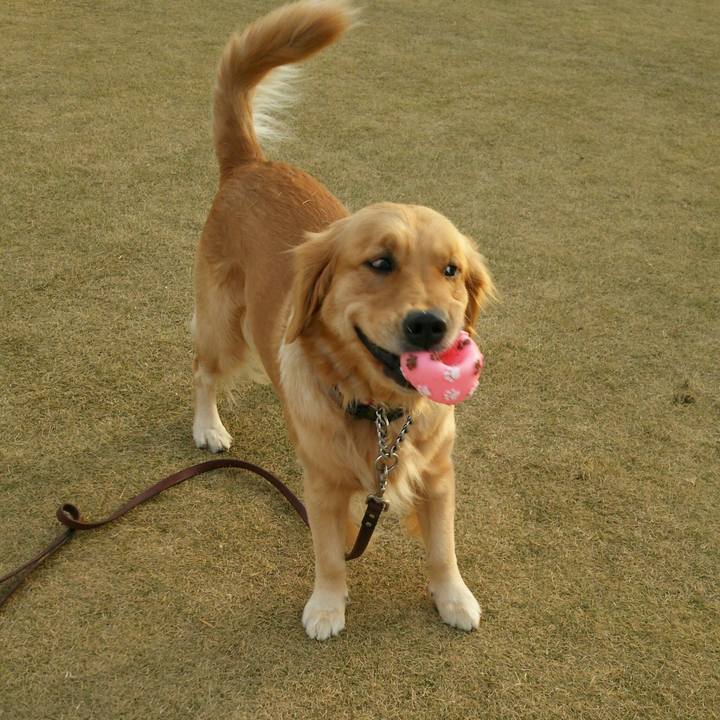 9d948aaa 1b1c 46bc 8f45 79755c677869