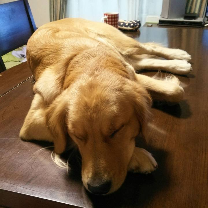 9d94cdf2 6ae8 4f0d b62a c9e6511eff55