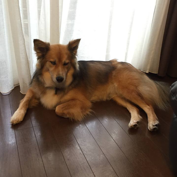 9d95214a 3b59 486c b386 692fa138d2c2