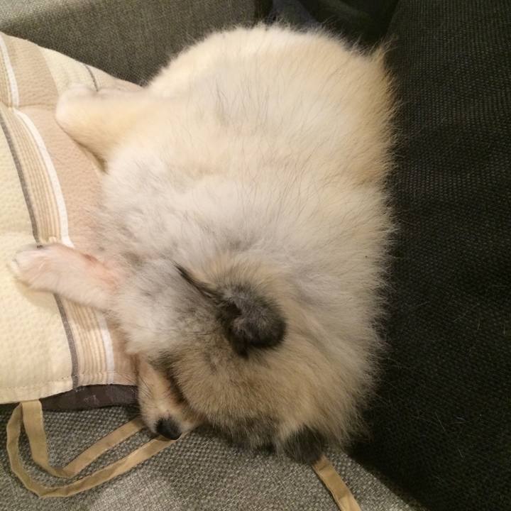 9d953507 6796 46e8 9c66 561daa91e397