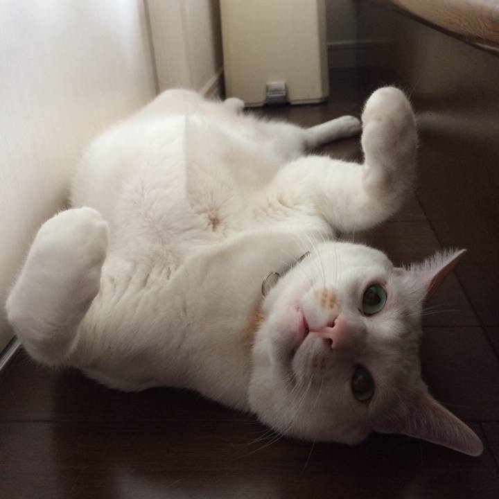 9d95522d 2b5f 43e1 b94d 2d17d792a6e2