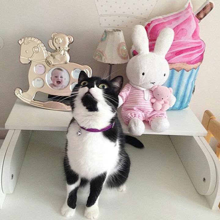 9d9588d4 7012 452e a5df 339761d39050