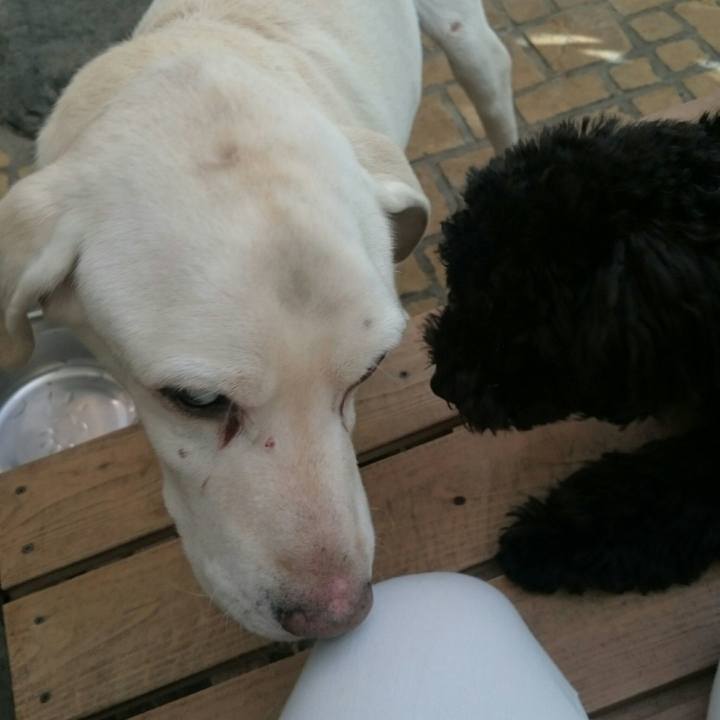 9d95ab7d 1436 43a4 aea7 746fdd28c205