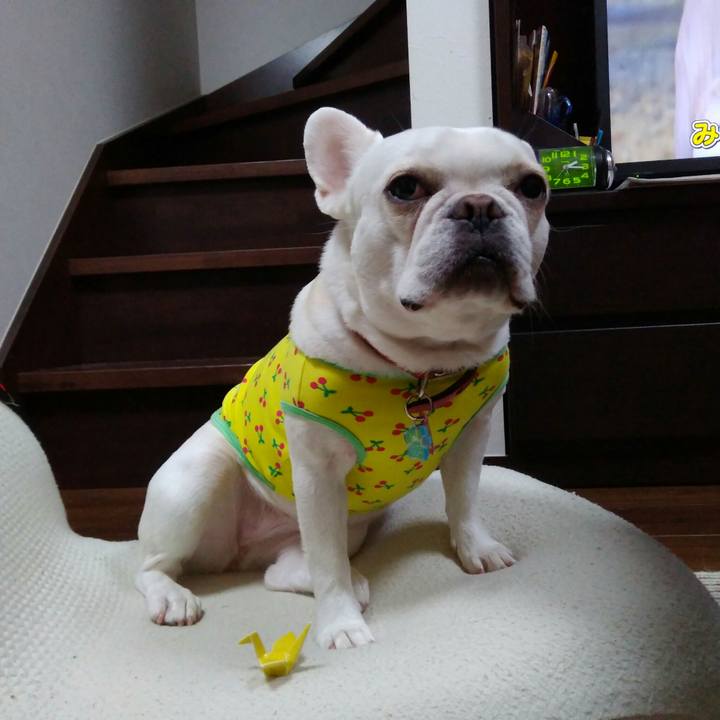 9d95ea7f e7b8 4ecd aea8 07d7568d95ae