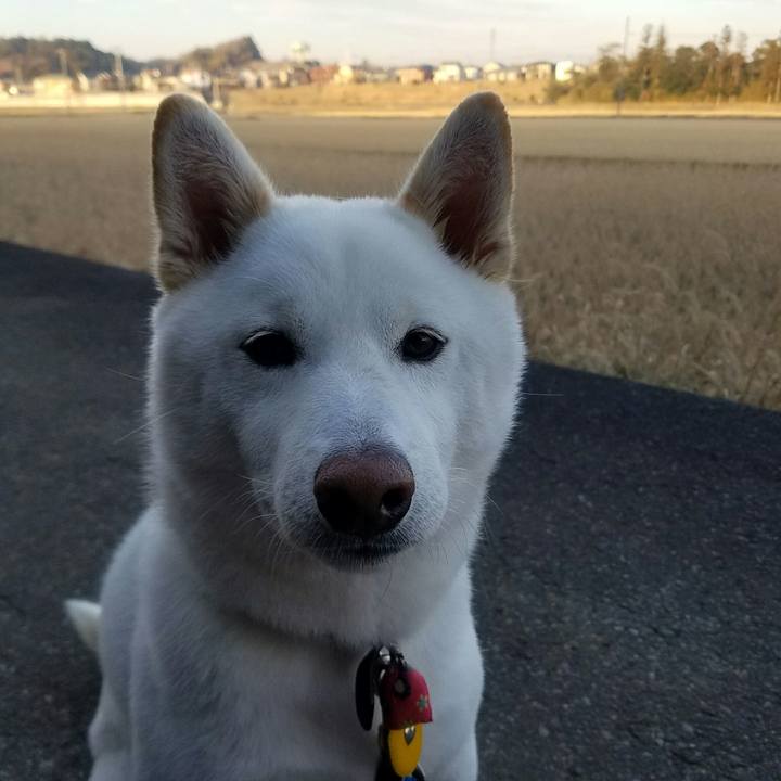 9d963501 69f6 4ae2 a5ad b7417359874b