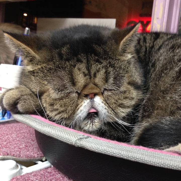 9d96c4e5 27e8 4582 8877 0a77dbc96afa