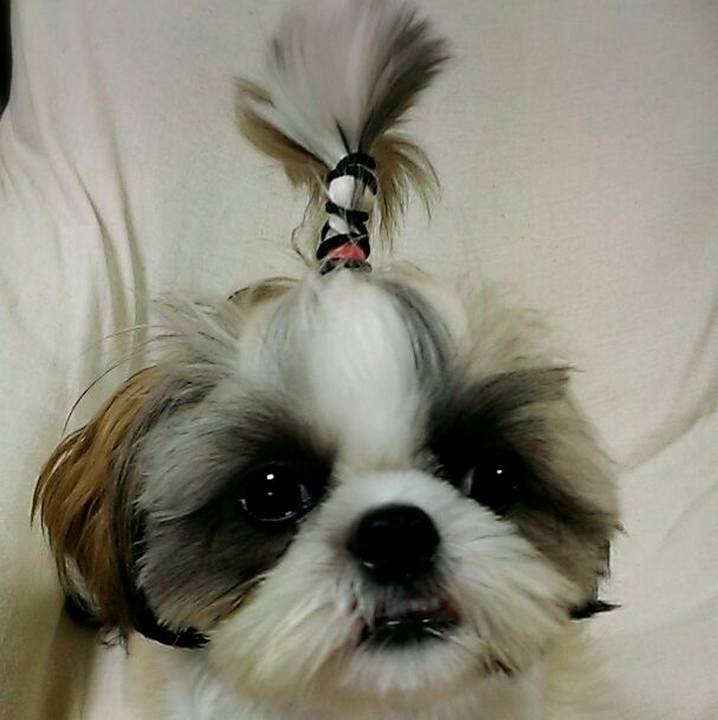 9d96f2a8 446e 4d99 a6f4 de658547e7ea