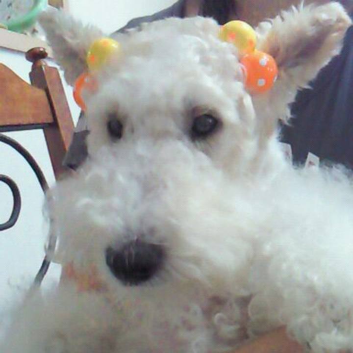 9d9723b2 ed3a 4c2b 95e7 2304a0ce51e0