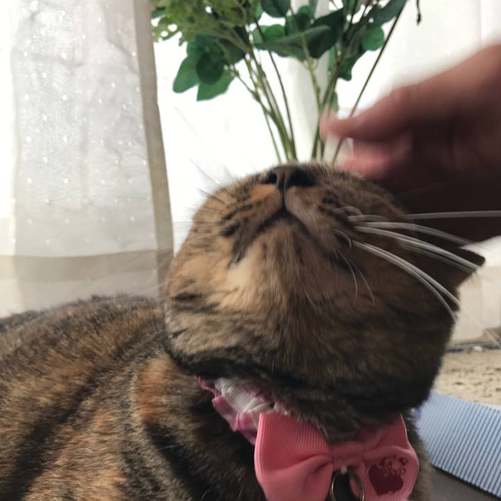 9d977af9 b256 4c1e 83b0 a5527c179fd1