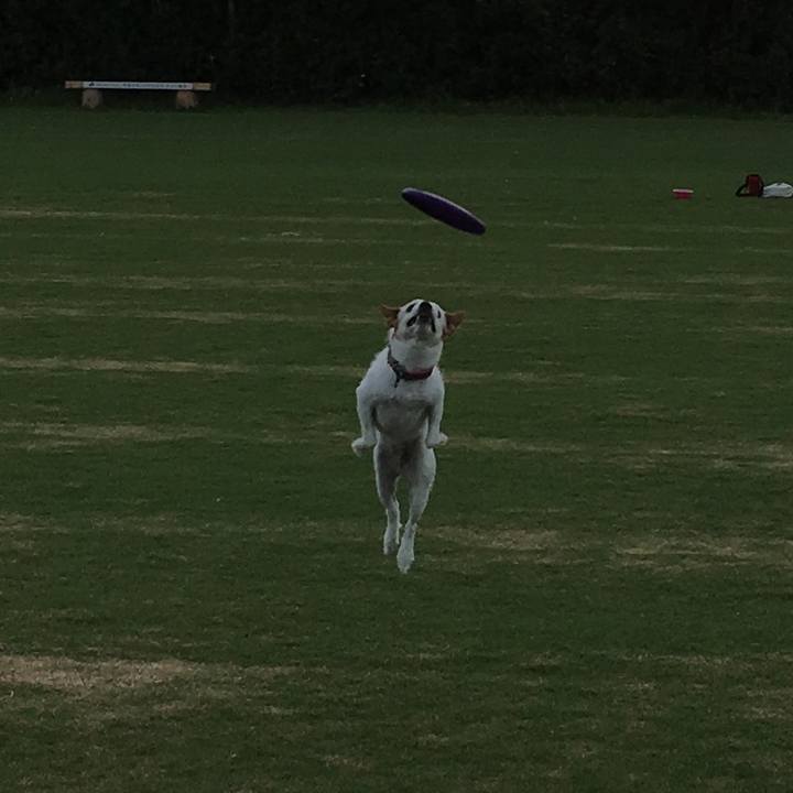 9d978165 84d8 4a56 913a bc75a68510a9