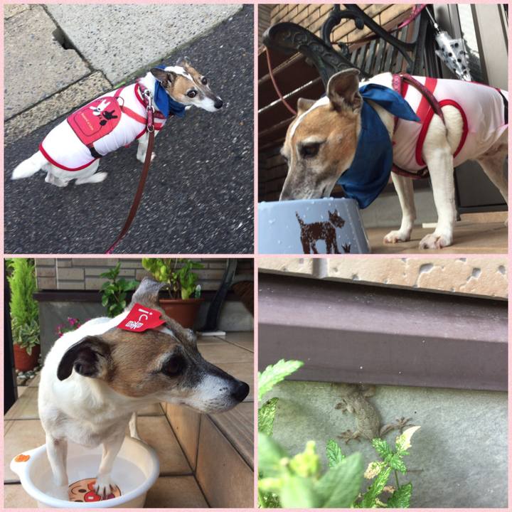 9d983fb1 94f0 47e8 bf6f 56f2881eb1b6