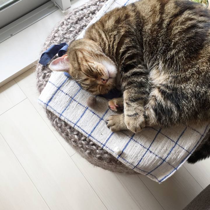 9d98dd7e 2985 4109 9cf4 c82cadcc7984