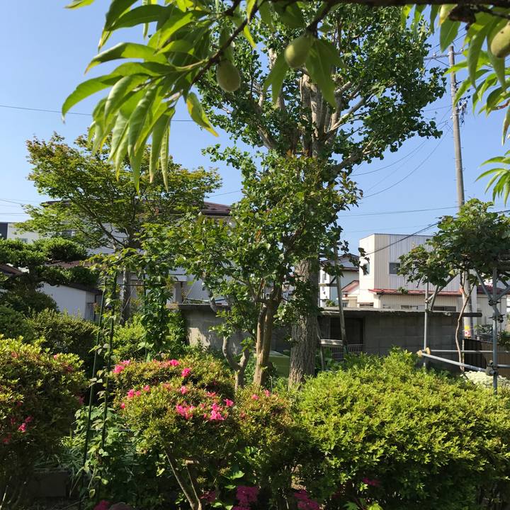 9d99395e c25e 4289 b3cb 778f6b0c92e4