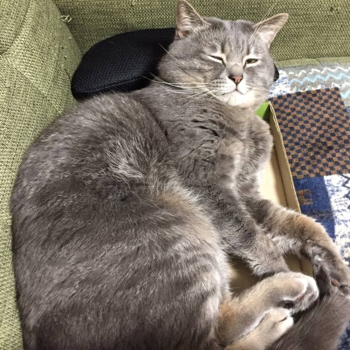 9d99e616 0e29 4728 bc92 57354b11b2e4