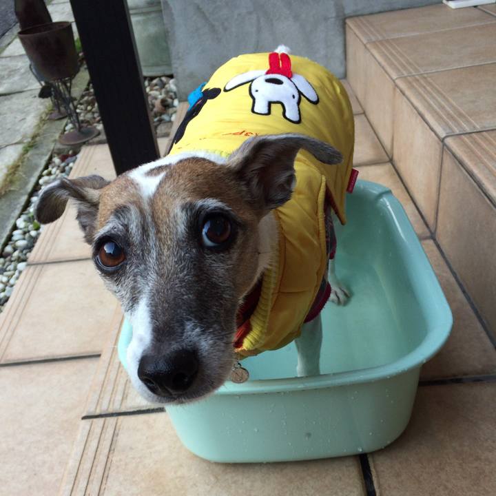 9d9a00c4 cd52 4d37 ab88 c67698a786d8