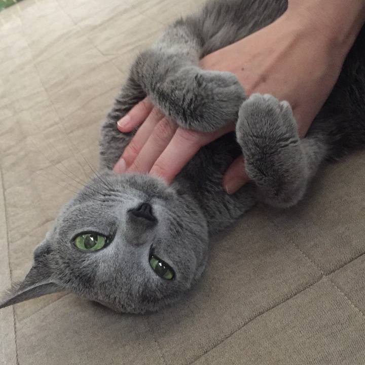 9d9a1eb0 1fd8 4783 a900 02192b2aa5ce