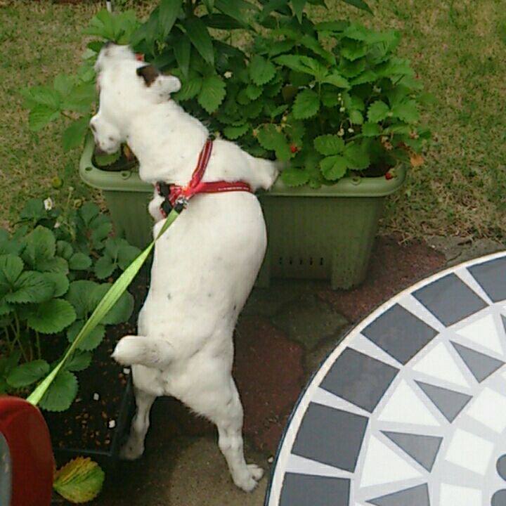 9d9a46fe 16fb 4637 9443 77c7d31d3a18