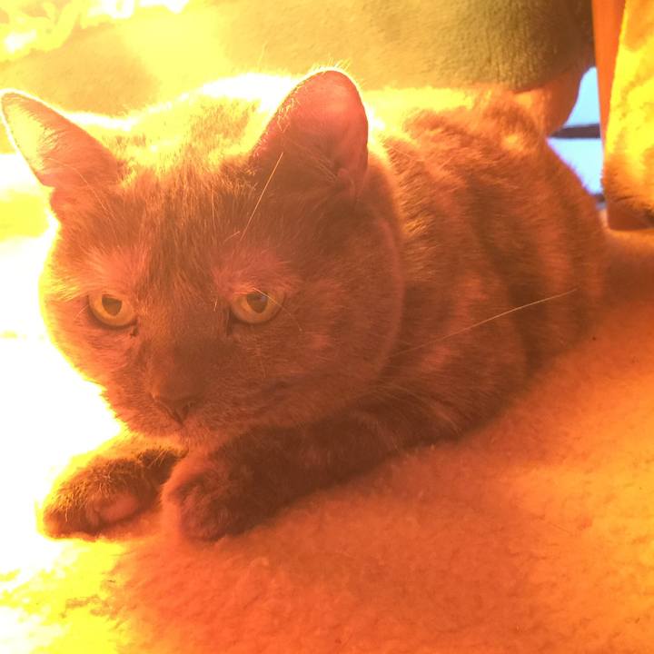 9d9a5694 c6fc 4443 9204 1690361ec94b