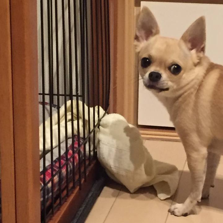 9d9ab7cc fc5f 49a5 8d76 98a78dcf27be