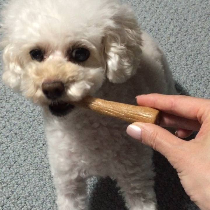 9d9ae7e3 6a1f 48b6 9c7d 2f7a34fb803f