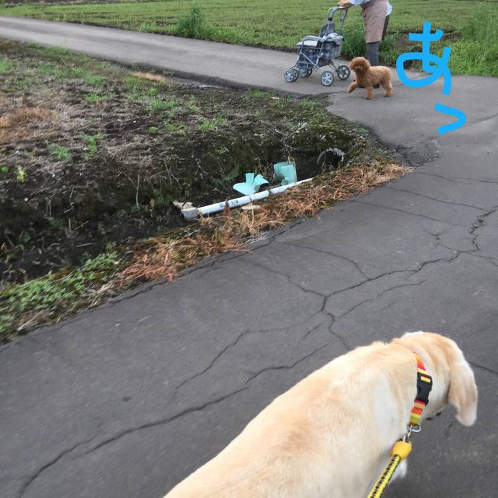 9d9af907 462a 4e51 a920 e22dd7983aaa