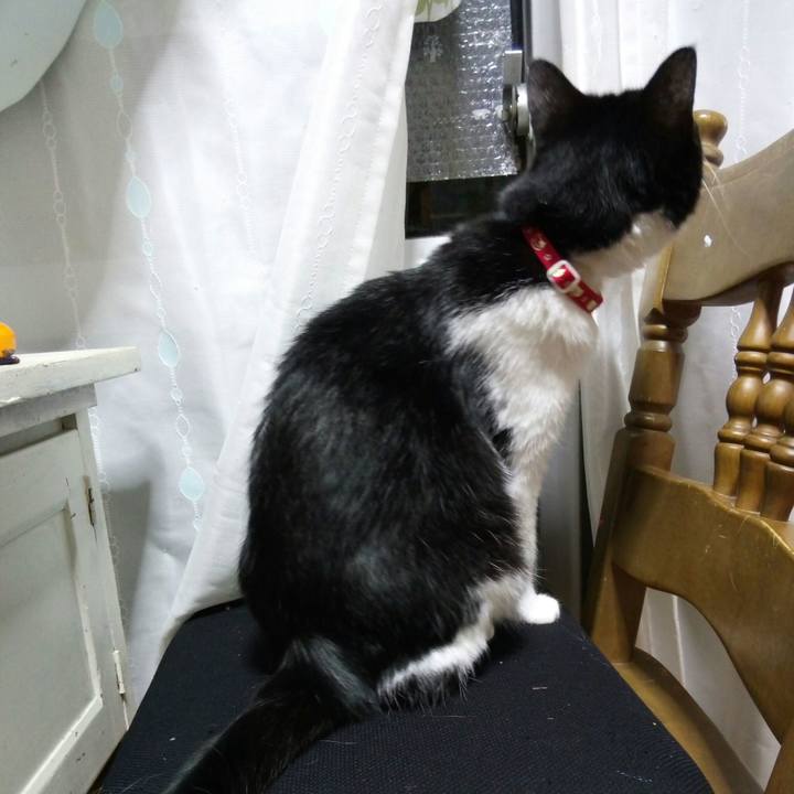 9d9b329e 1690 45f8 9c65 a1c0774df4cf