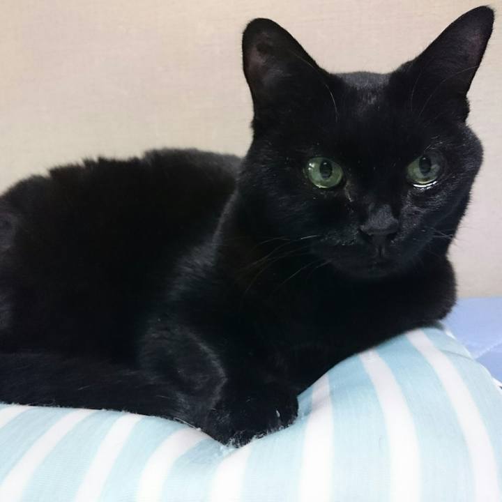 9d9b3ff2 826c 4551 ac23 a37988c5d9d0