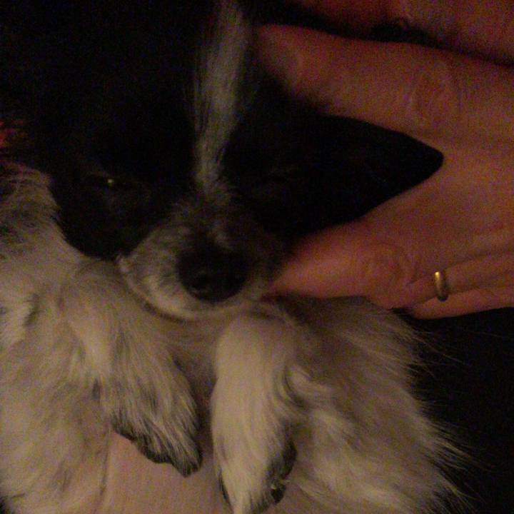 9d9b70e1 cca9 4ec2 8f79 0fd7a9c4b872