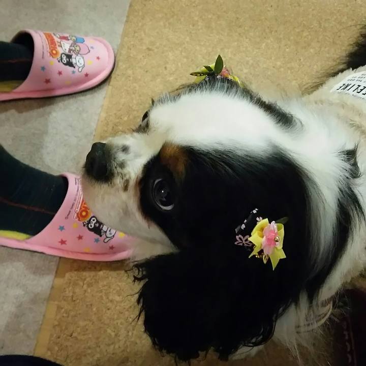 9d9ba249 40d0 4c57 b739 9d78d4d8dcd6