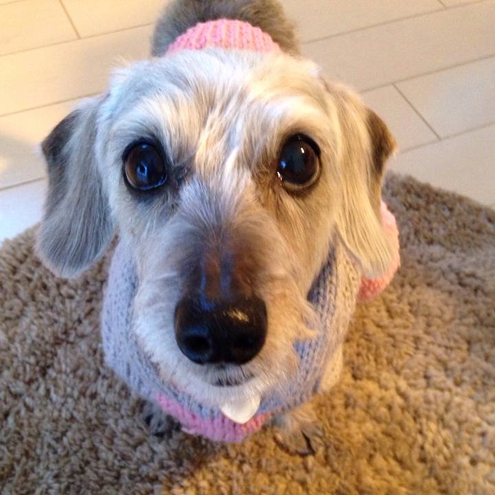 9d9baee0 c46a 4cf2 8e17 dc85badb721e