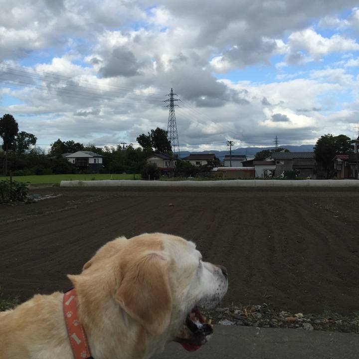 9d9be834 68b0 4d47 a6c1 c9bd38c01a39