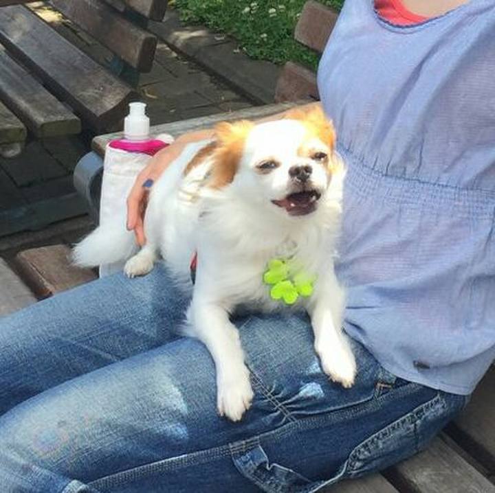 9d9c4543 3cfc 4638 a10f b39094c91c19