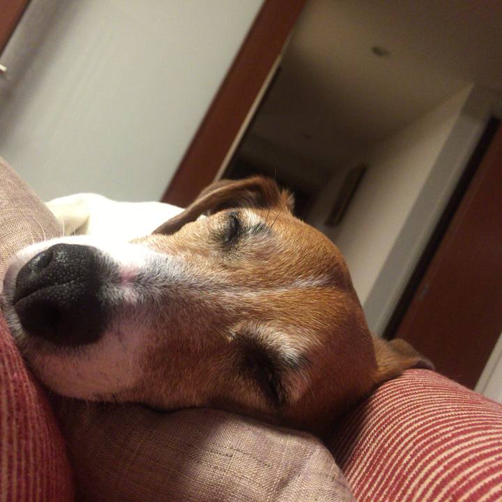 9d9d1d13 41d0 406b a199 057b617834fa