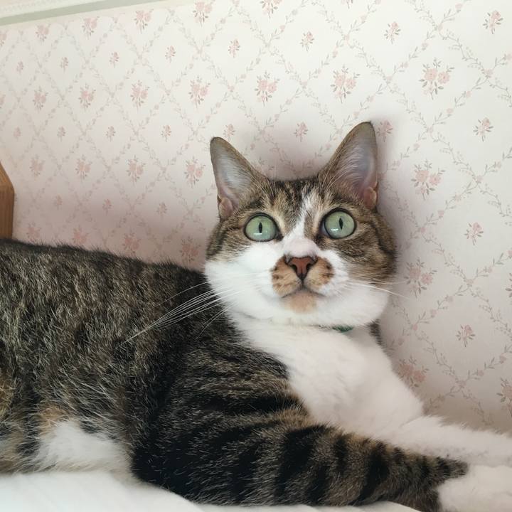 9d9d5402 f8d1 47f0 9f38 f8990c170276