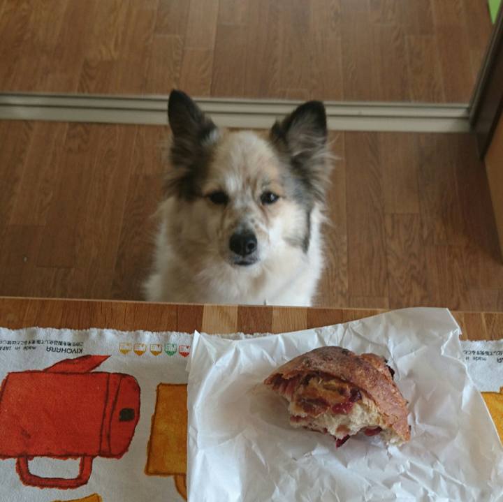 9d9d6661 361b 4bcc a15e 69bb8f662515