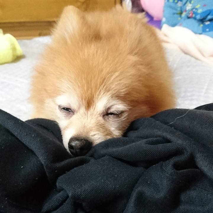 9d9d8aca 9569 4068 b0a0 15b4df0d7379