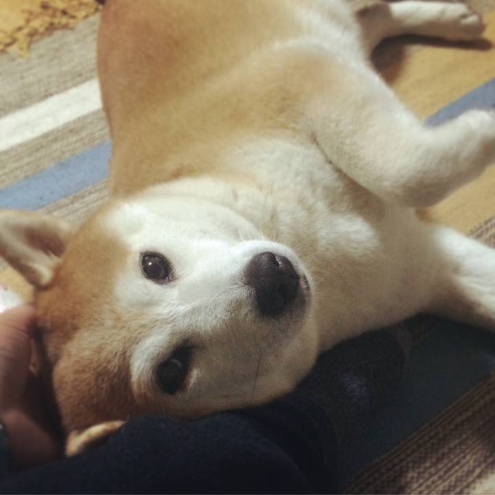 9d9e2878 6b64 4fcc 8317 2f0b4b200343