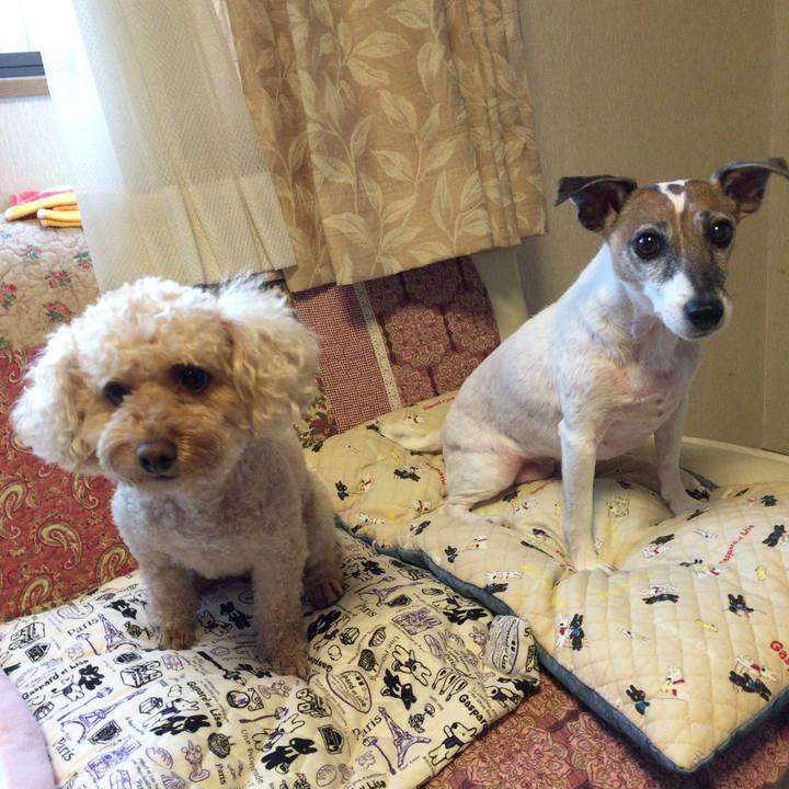 9d9e87a7 42ef 4870 bfd8 e6abce6be25d