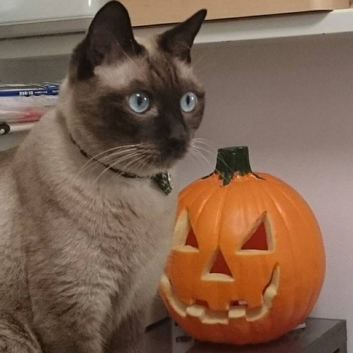 9d9ec0d5 fddc 4d3a 9dcd ca17638dddd1