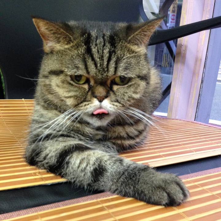 9d9eef31 250f 48f6 9043 5e41f3cc64d4